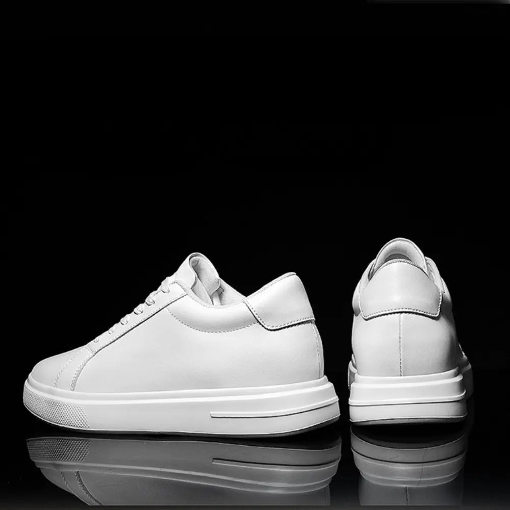 Aurex - 8cm (3")
