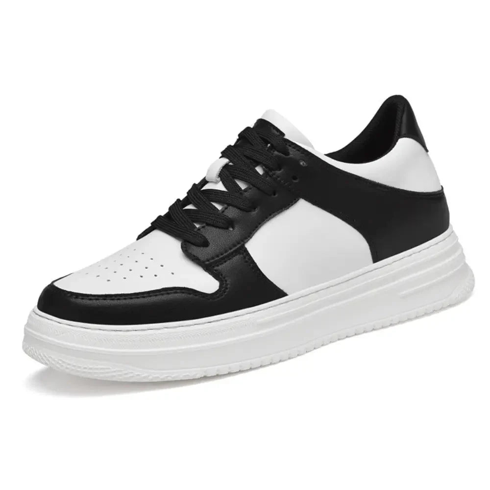 Daxon - 8cm